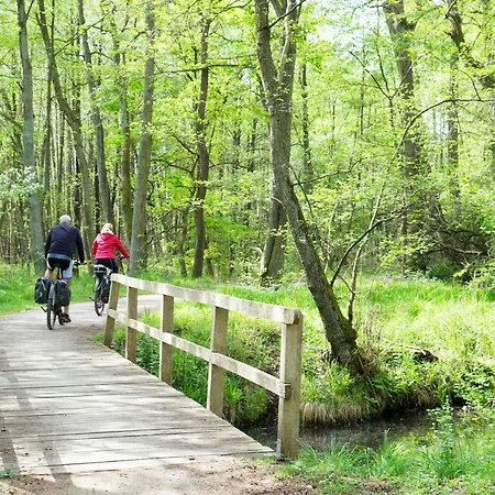 Altstadtapartment Carli- Komfortable Im Herzen Von Apartment
