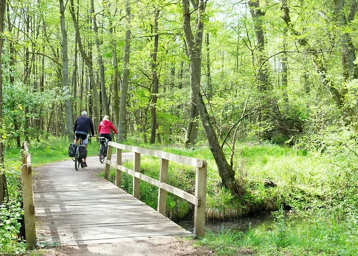 Altstadtapartment Carli- Komfortable Im Herzen Von Apartamento